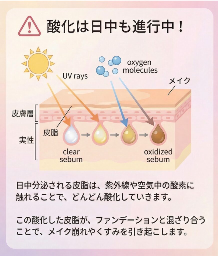 図解:酸化は日中も進行中!